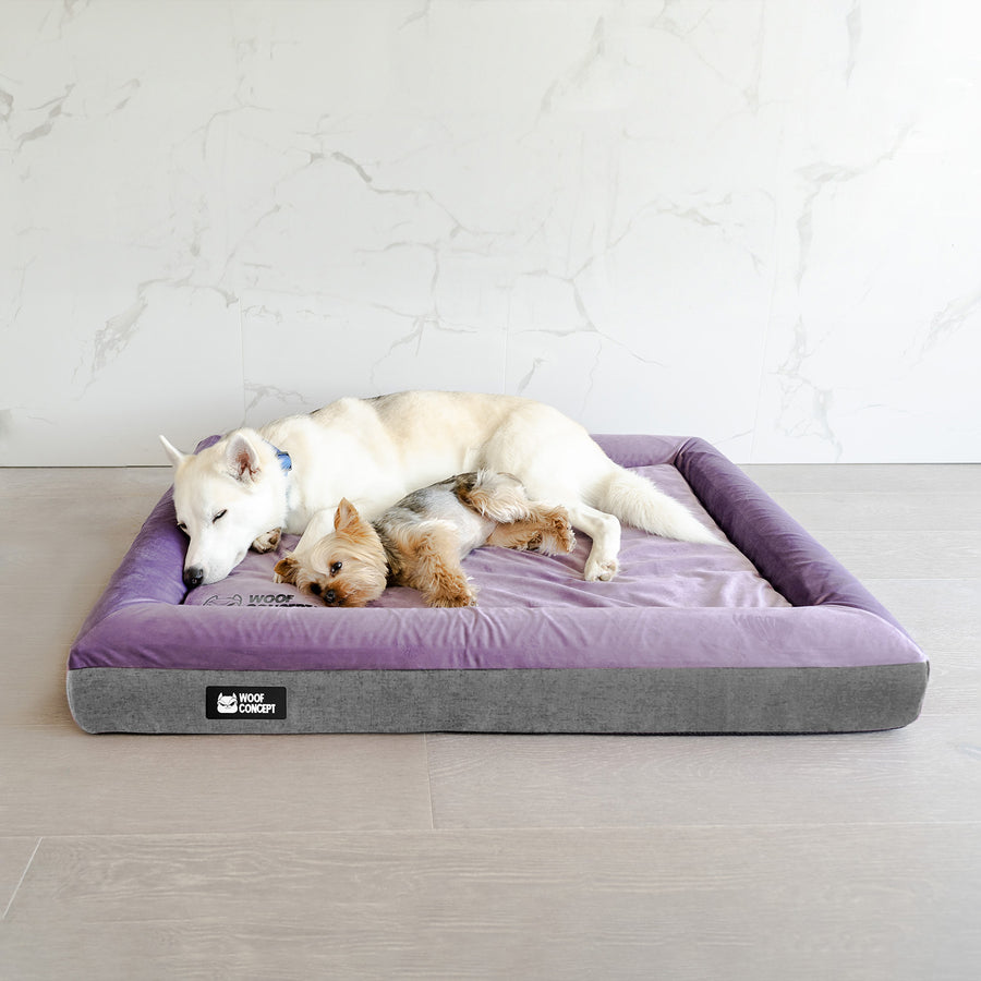 Purple Dog Bed Covers