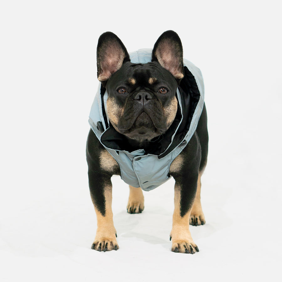 Dog Puffer Vest