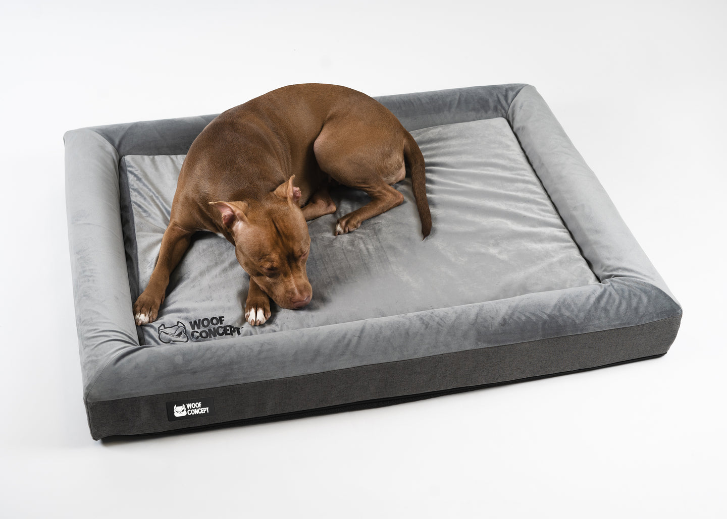 The Science Behind Optimal Dog Sleep and How the Right Bed Makes All the Difference