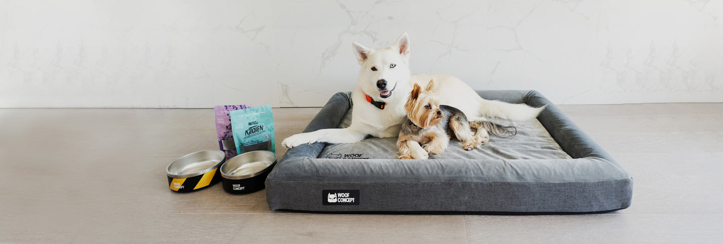 Dog Bed