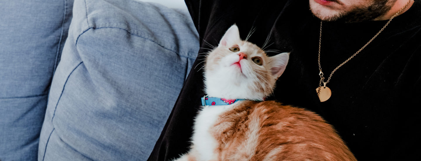 Neko by Woof Concept