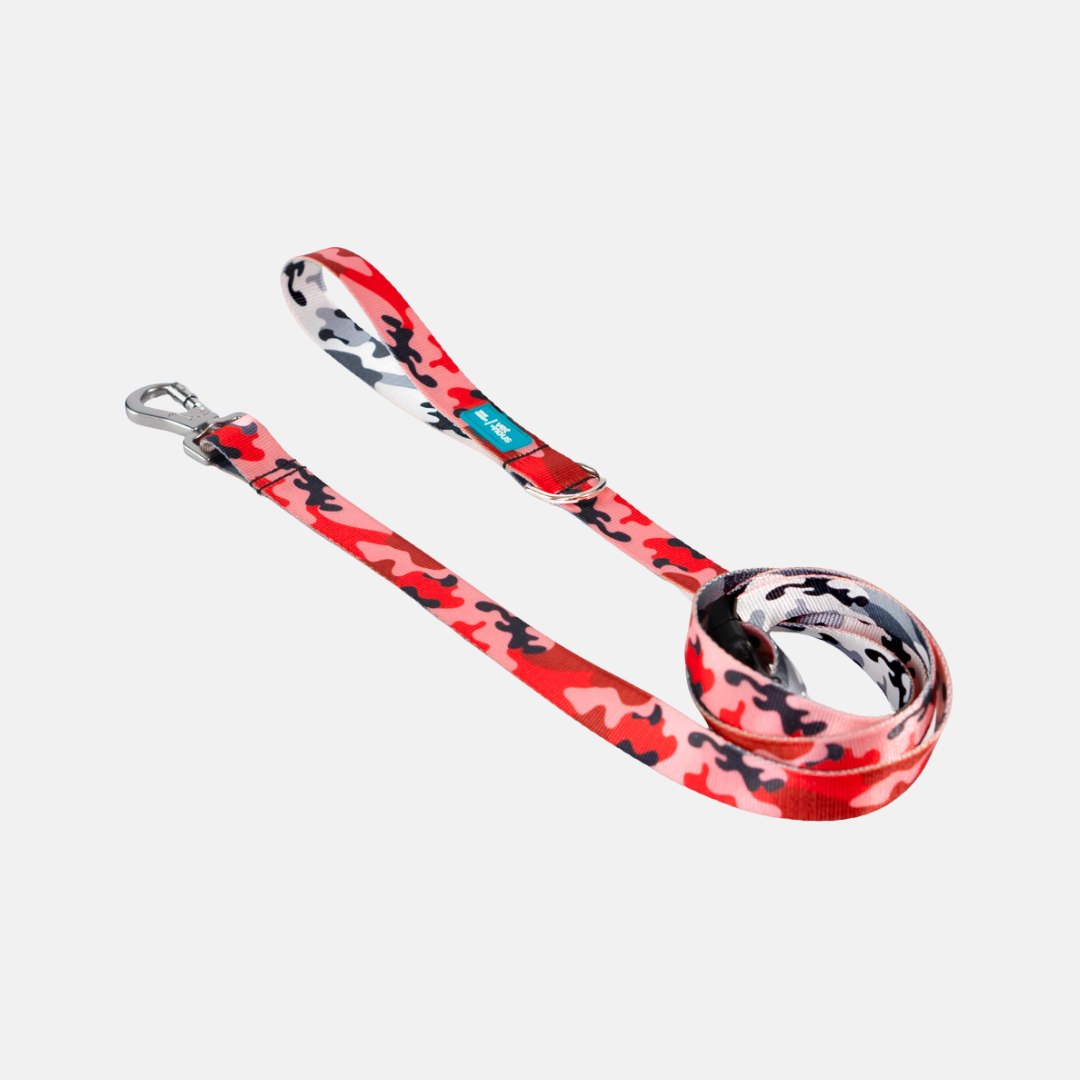 All Leashes – Woof Concept Products Ltd