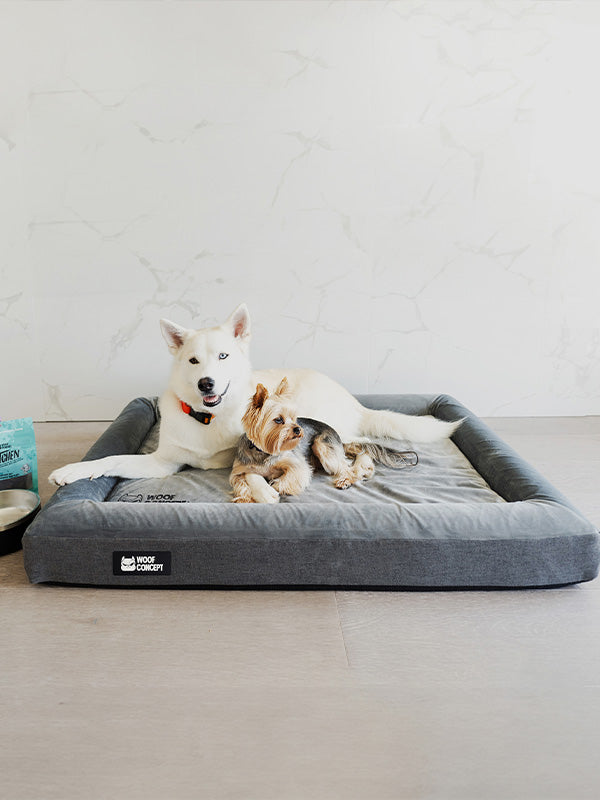 Dog cloud bed sale
