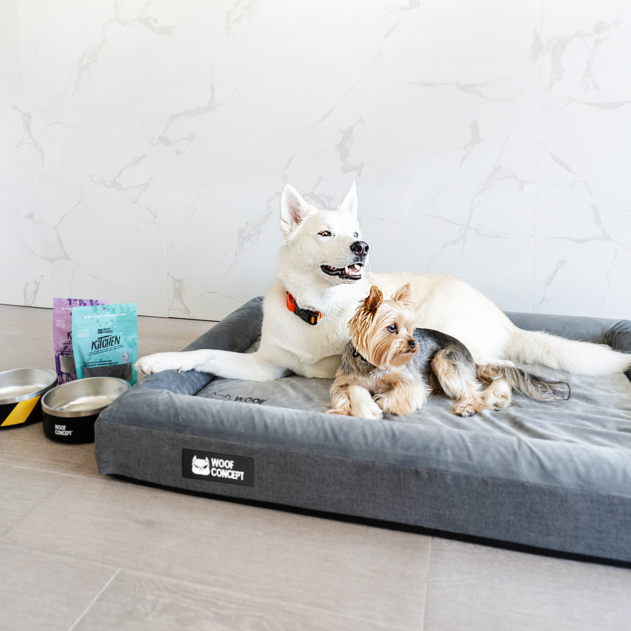 WOOF CONCEPT Cloud 9 Dog Bed