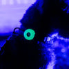 Dog AirTag Holder Glow in the Dark, White shot in a dark background showing it glowing bright. 