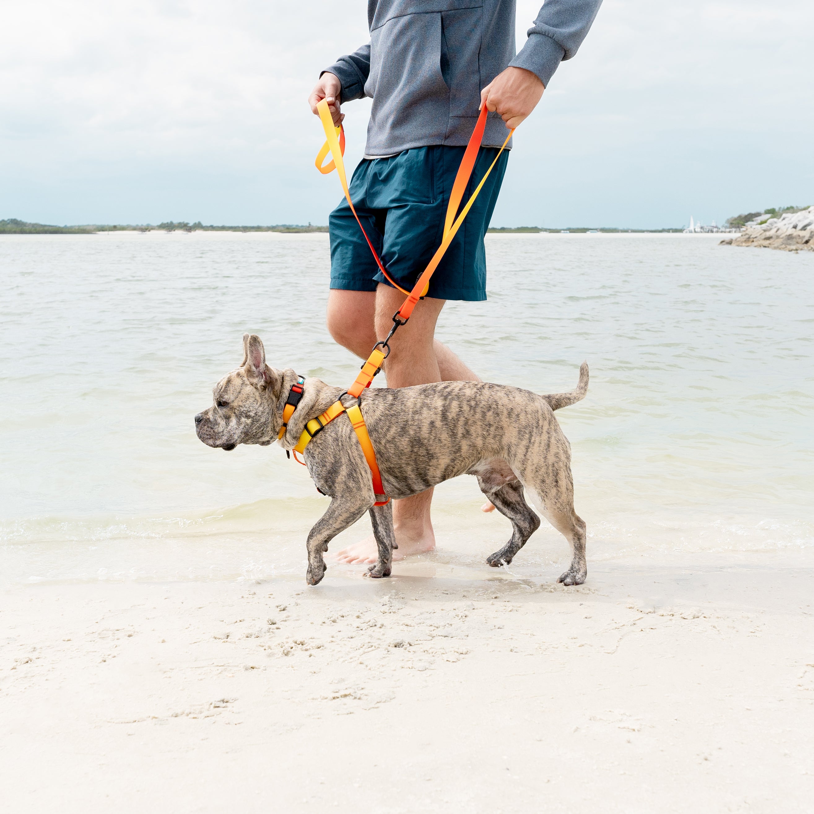 Woof Concept Made in Canada Dog Leashes Collars and Harnesses Woof Concept Products Ltd