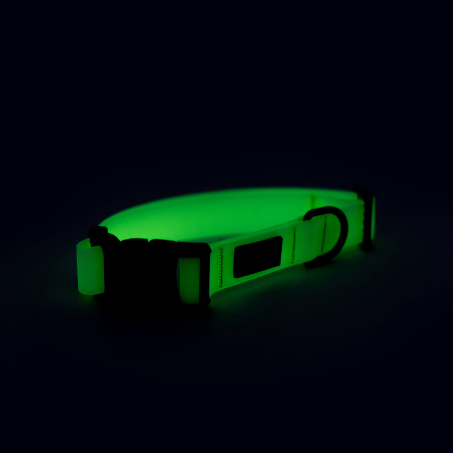 Waterproof Dog Collar Glow in the Dark, White