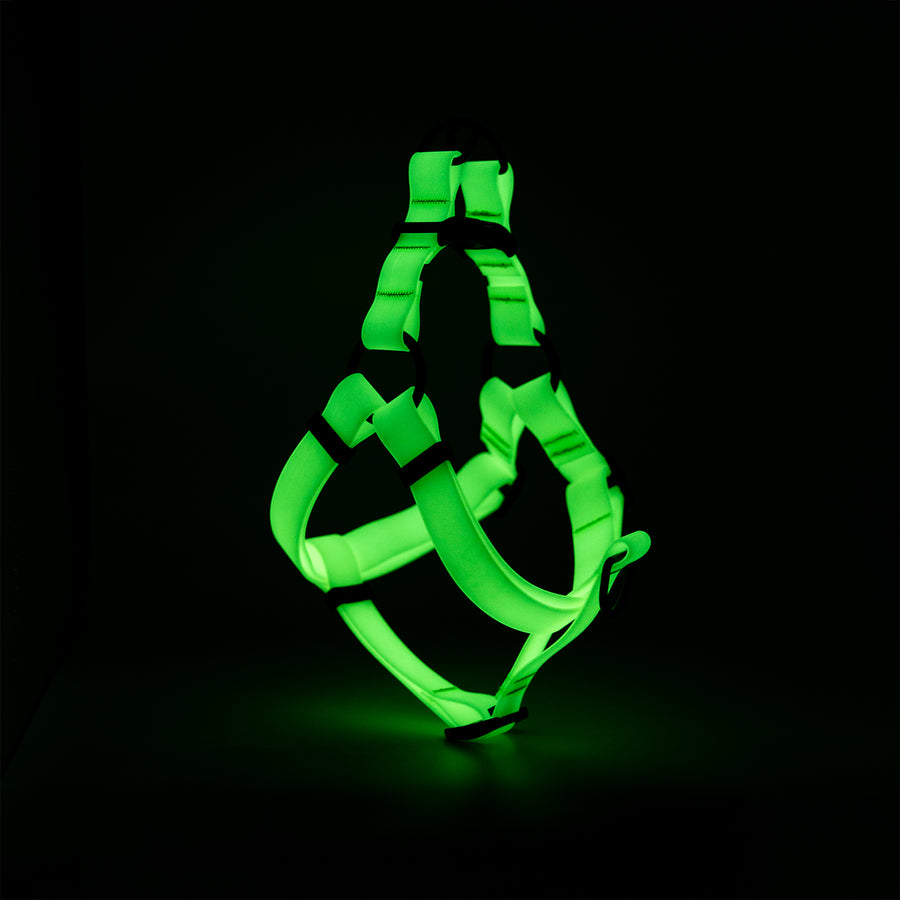 Dog harness glow in the best sale dark