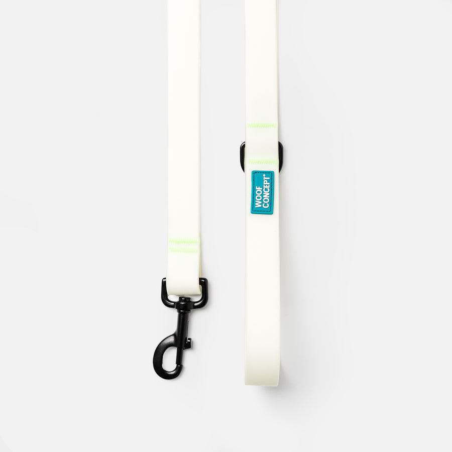 Glow in the dark leash hot sale