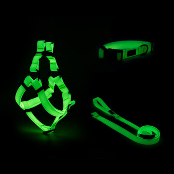 Waterproof Dog Collar, Leash, Step-In Harness Glow in the Dark, White