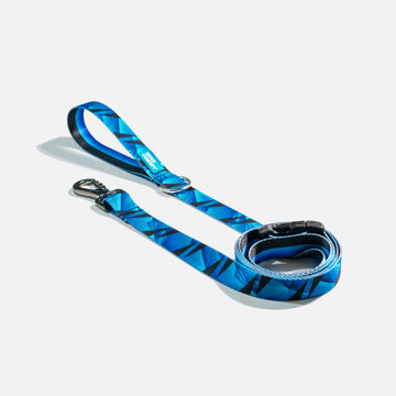 Dog Leash Blue