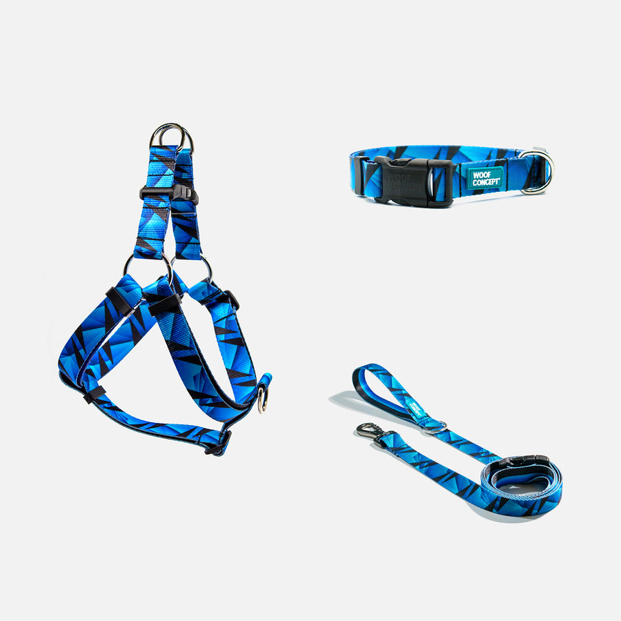 Dog Collar, leash, harness Blue