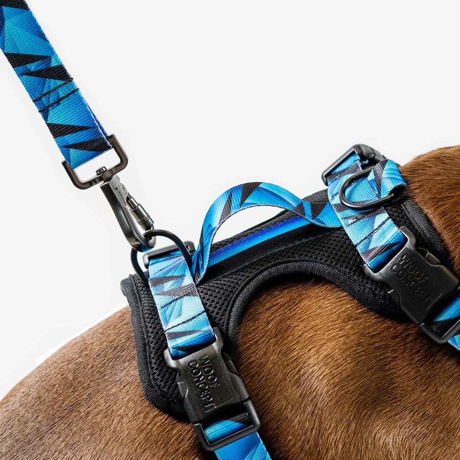 Dog Mesh Harness Blue