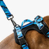 Woof Concept Total Control harness made in Canada, perfect for training and everyday use with Canadian dog collars, ensuring a secure fit