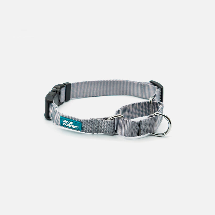 Dog Martingale Grey