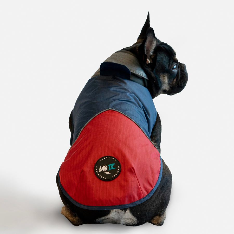 Woof Concept Arrow Windbreaker Navy Red 12