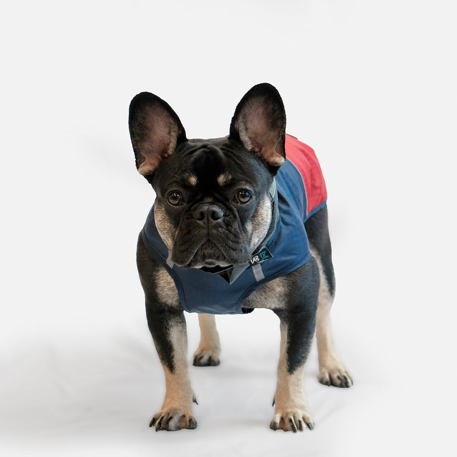 Woof Concept Arrow Windbreaker Navy Red 18
