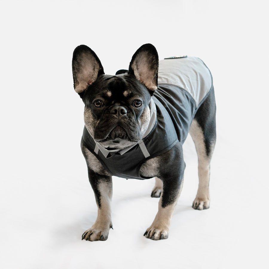 Dog windbreaker jacket from Woof Concept featuring reflective details for added safety during outdoor walks with your dog collar in Canada.