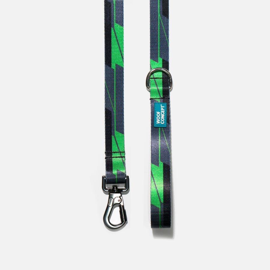 Dog Leash Green