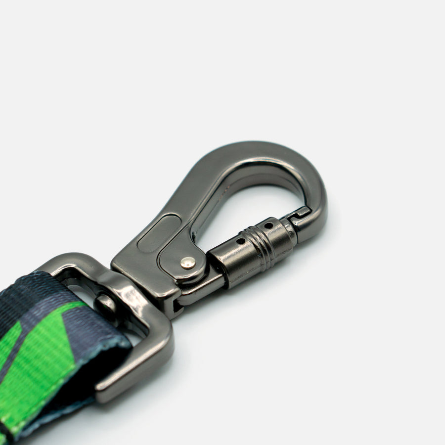 Dog Leash Green