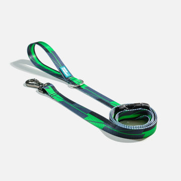 Dog Leash Green