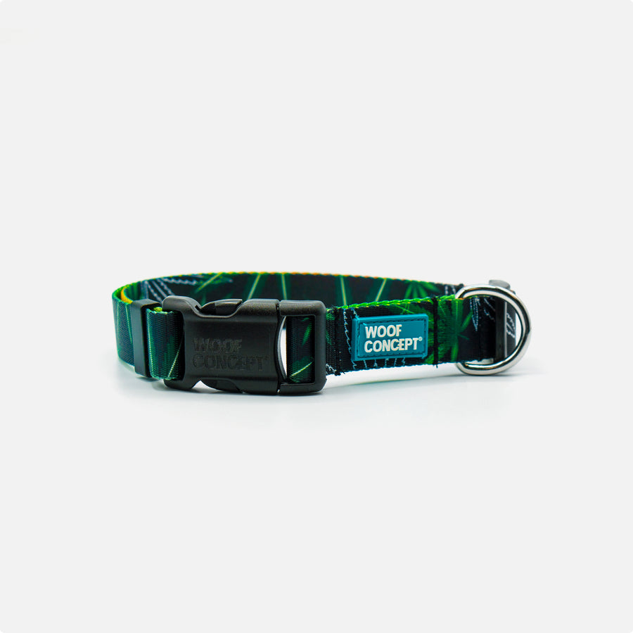 Dog Collar Green