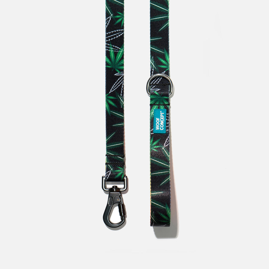 Dog Leash Green