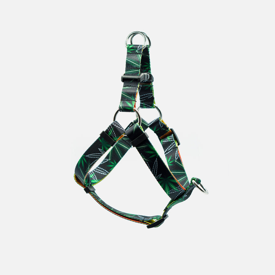 Dog Harness Green