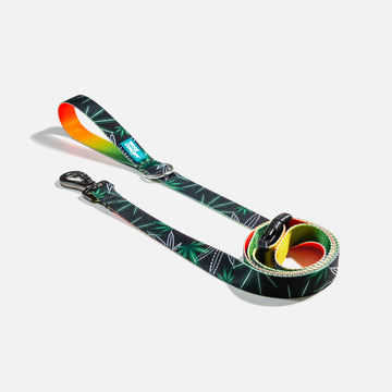 Dog Leash Green