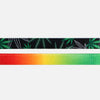 Dog Martingale Green