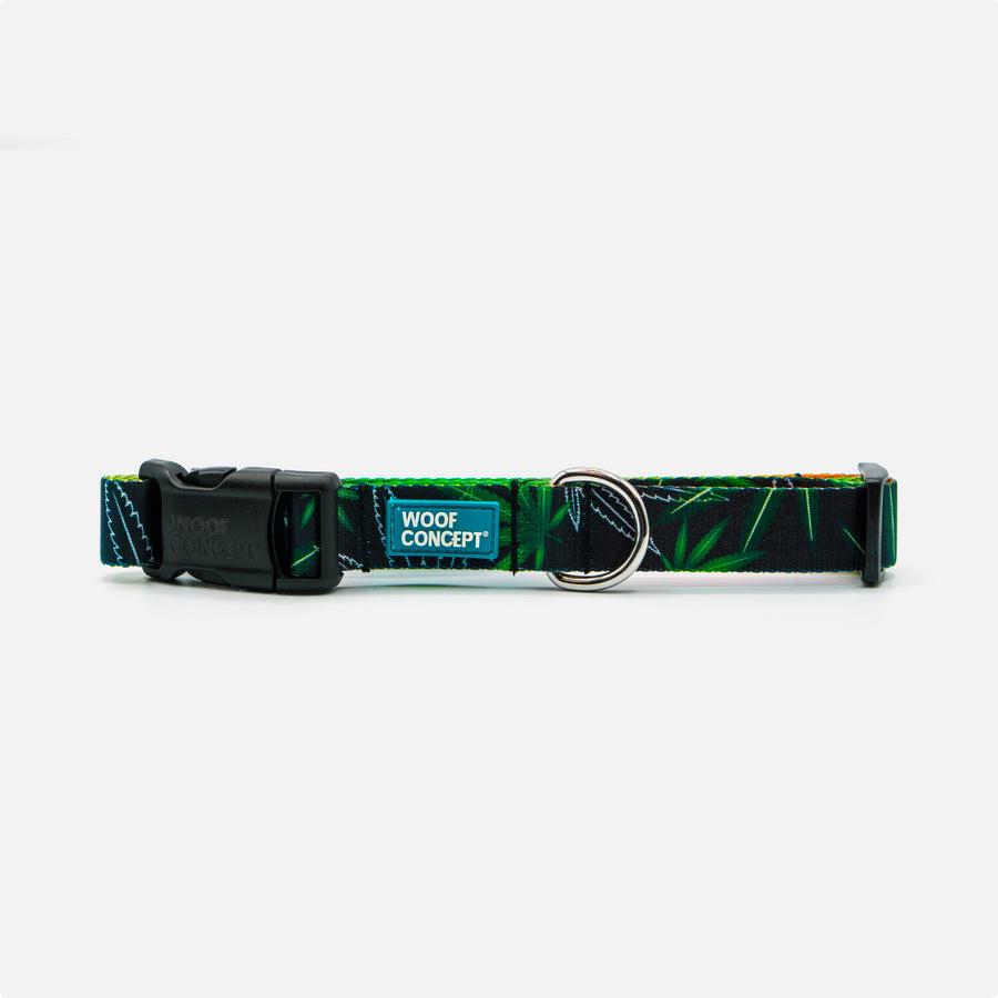 Dog Collar Green