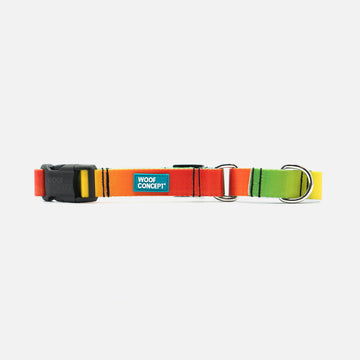 Fabric Martingale Rainbow