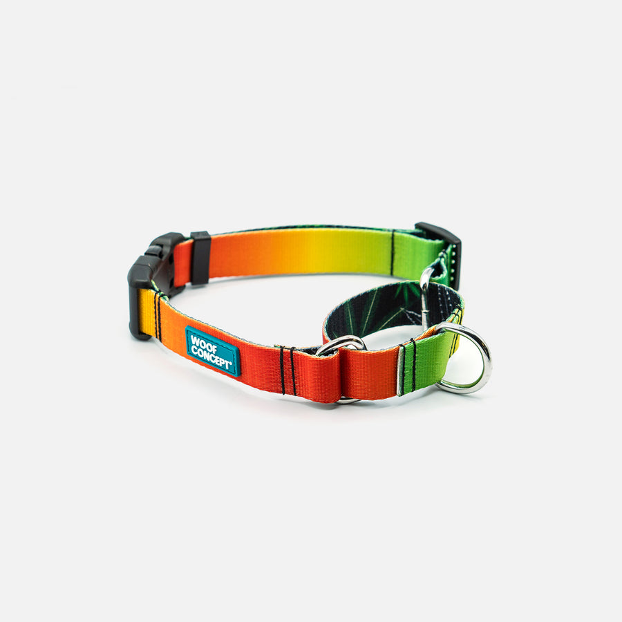 Fabric Martingale Rainbow