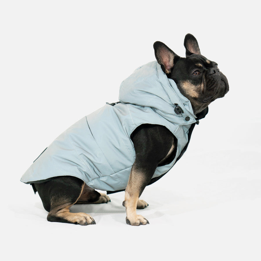 Dog Puffer Vest