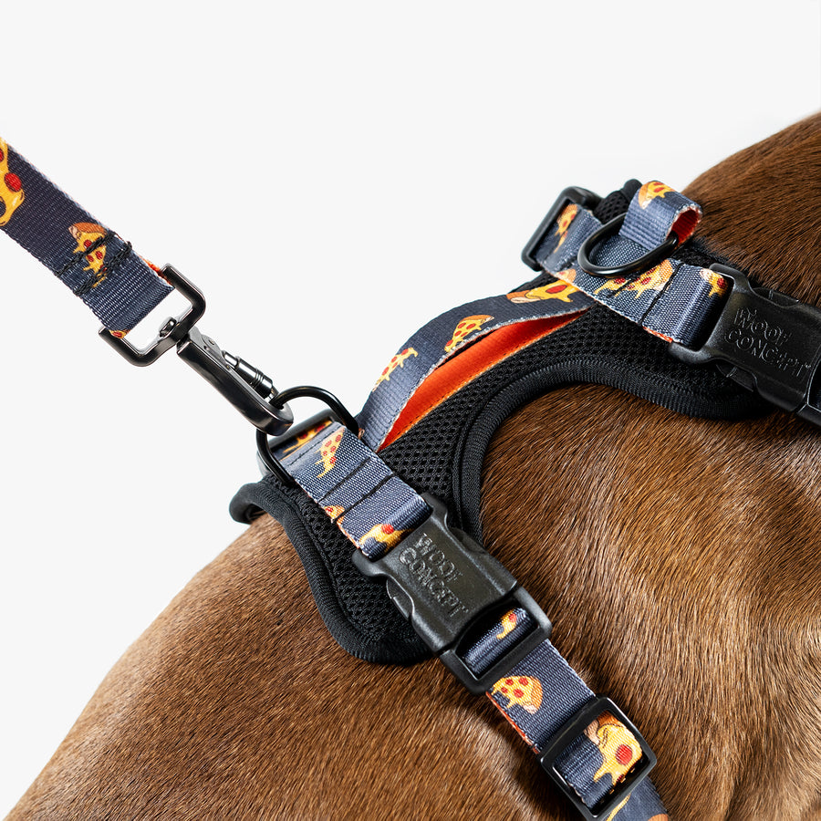 Dog Mesh Harness Pizza