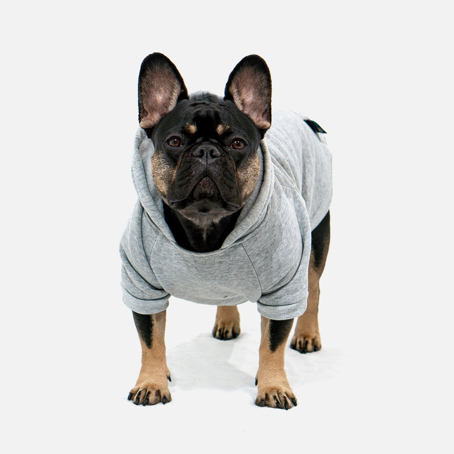 Dog Hoodie Grey