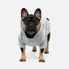 Dog Hoodie Grey