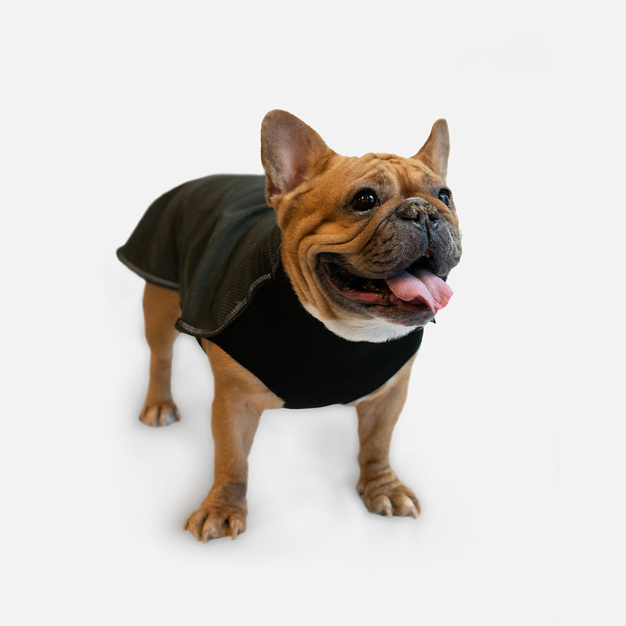 Dog Reflective Jacket