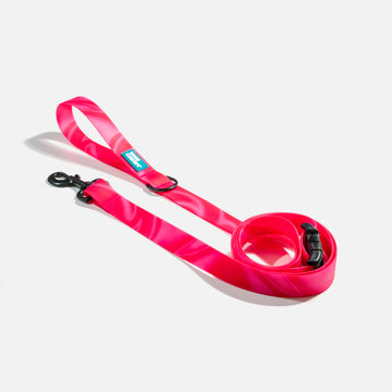 Waterproof Dog Leash