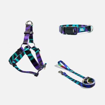 Dog Harness, Collar, Leash