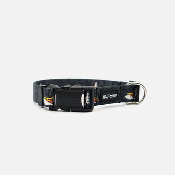 Black Dog Collar