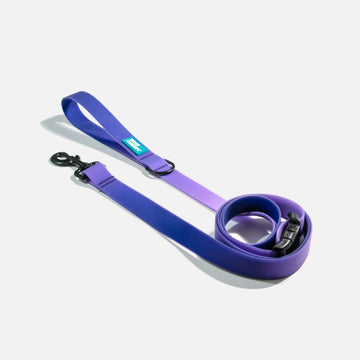 Waterproof Dog Leash Purple