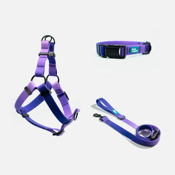 Dog Harness, Collar, leash