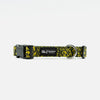 Dog Collar Yellow