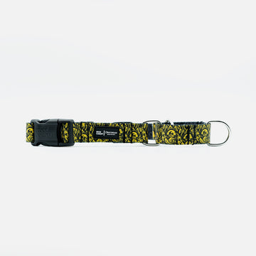 Dog Martingale Collar Yellow