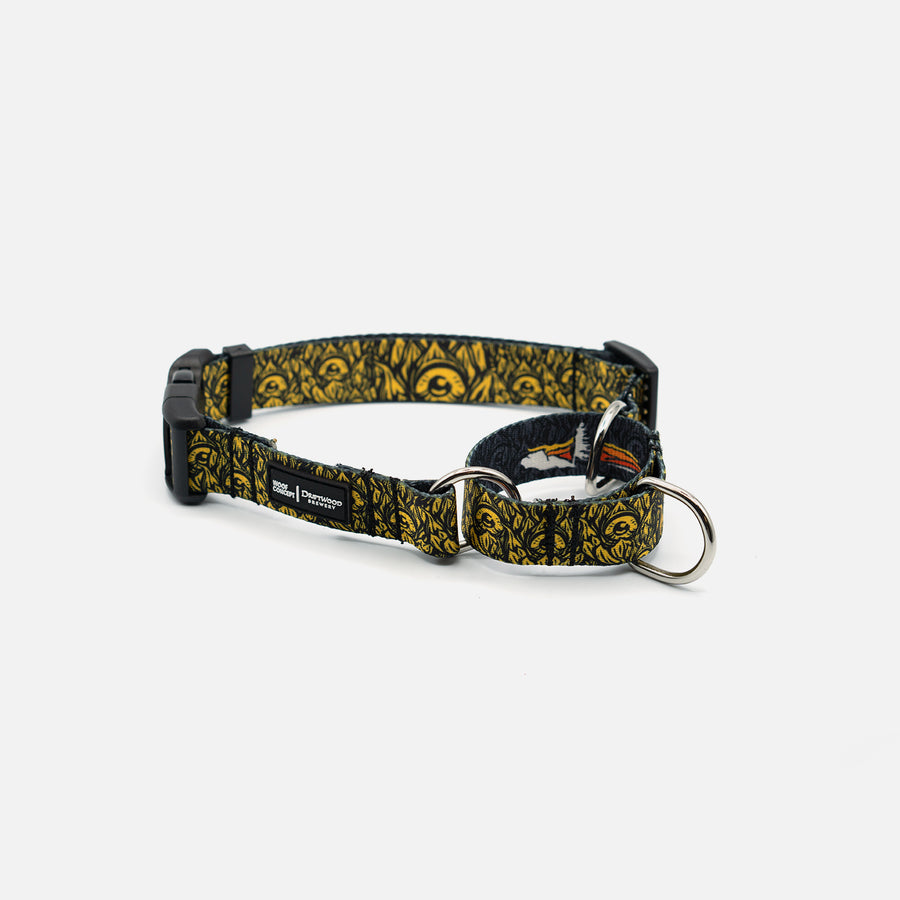 Yellow Martingale Dog Collar