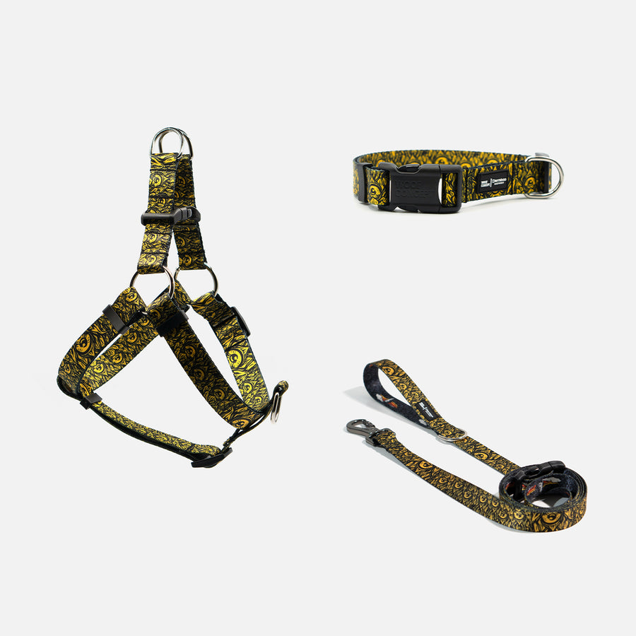 Dog Collar, leash and harness Yellow 