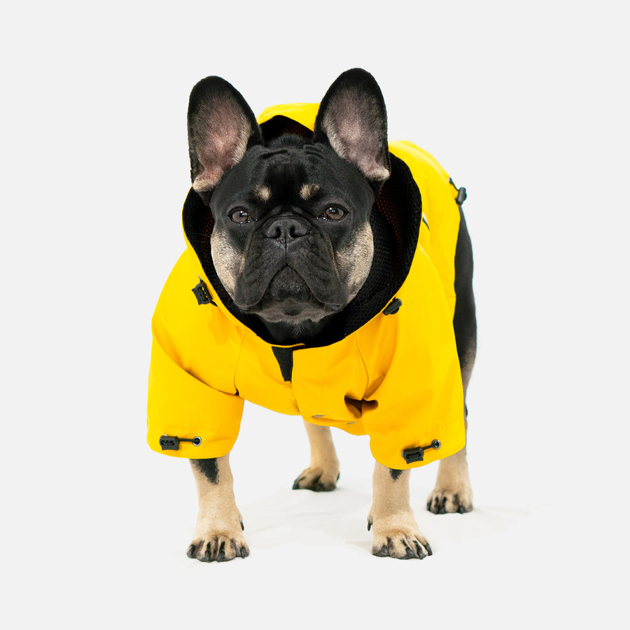 Dog Rain Jacket Yellow