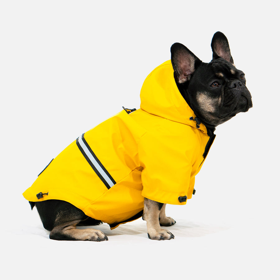 Dog Rain Jacket Yellow