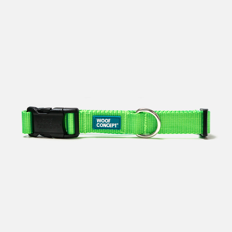 Kiwi Dog Collar Woof Concept Products Ltd